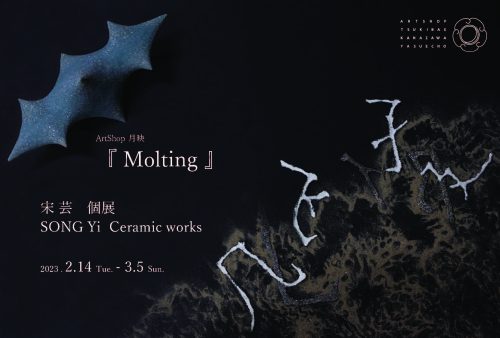 宋芸 個展 『Molting』~命が脱皮することで成長すること~