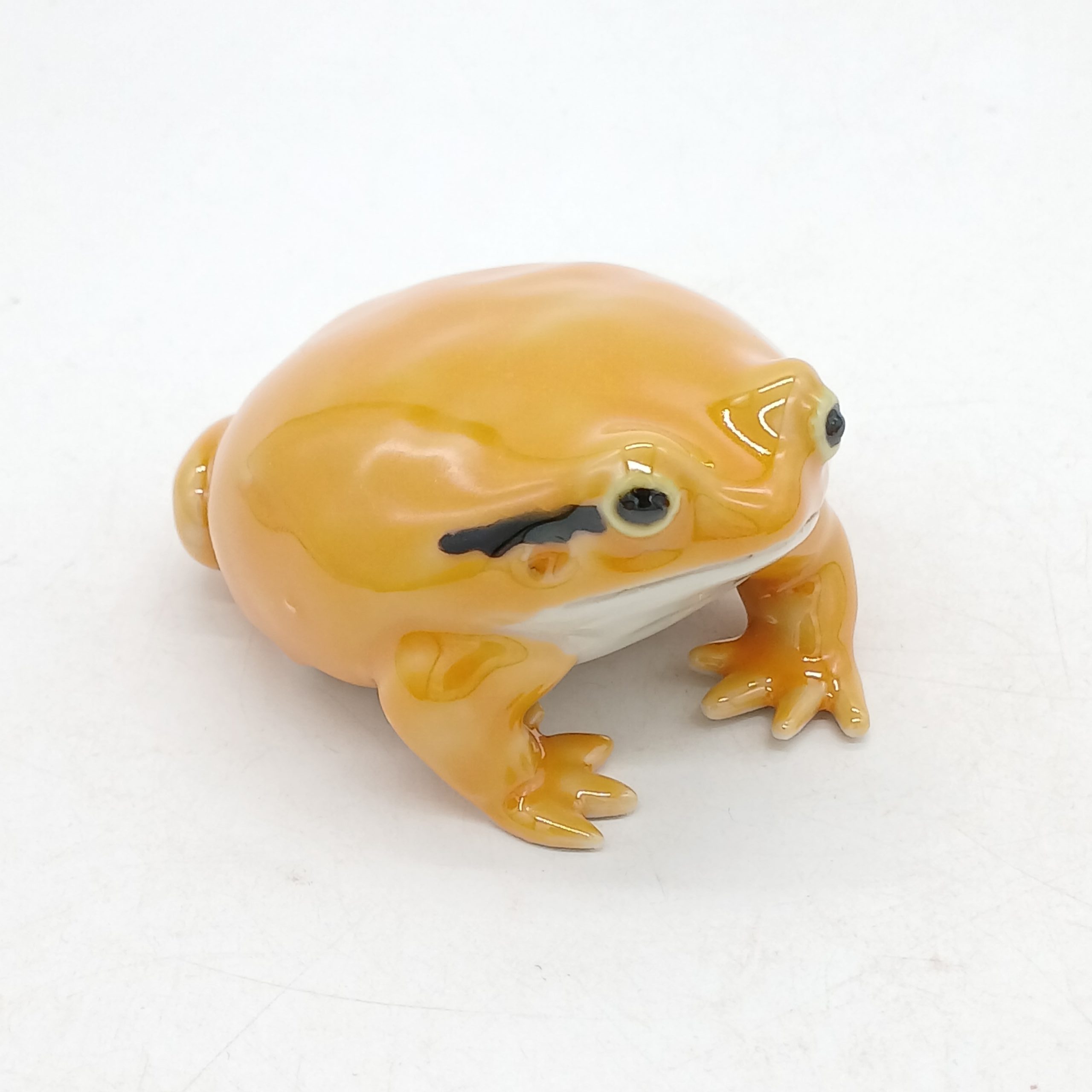 アカトマトガエル
