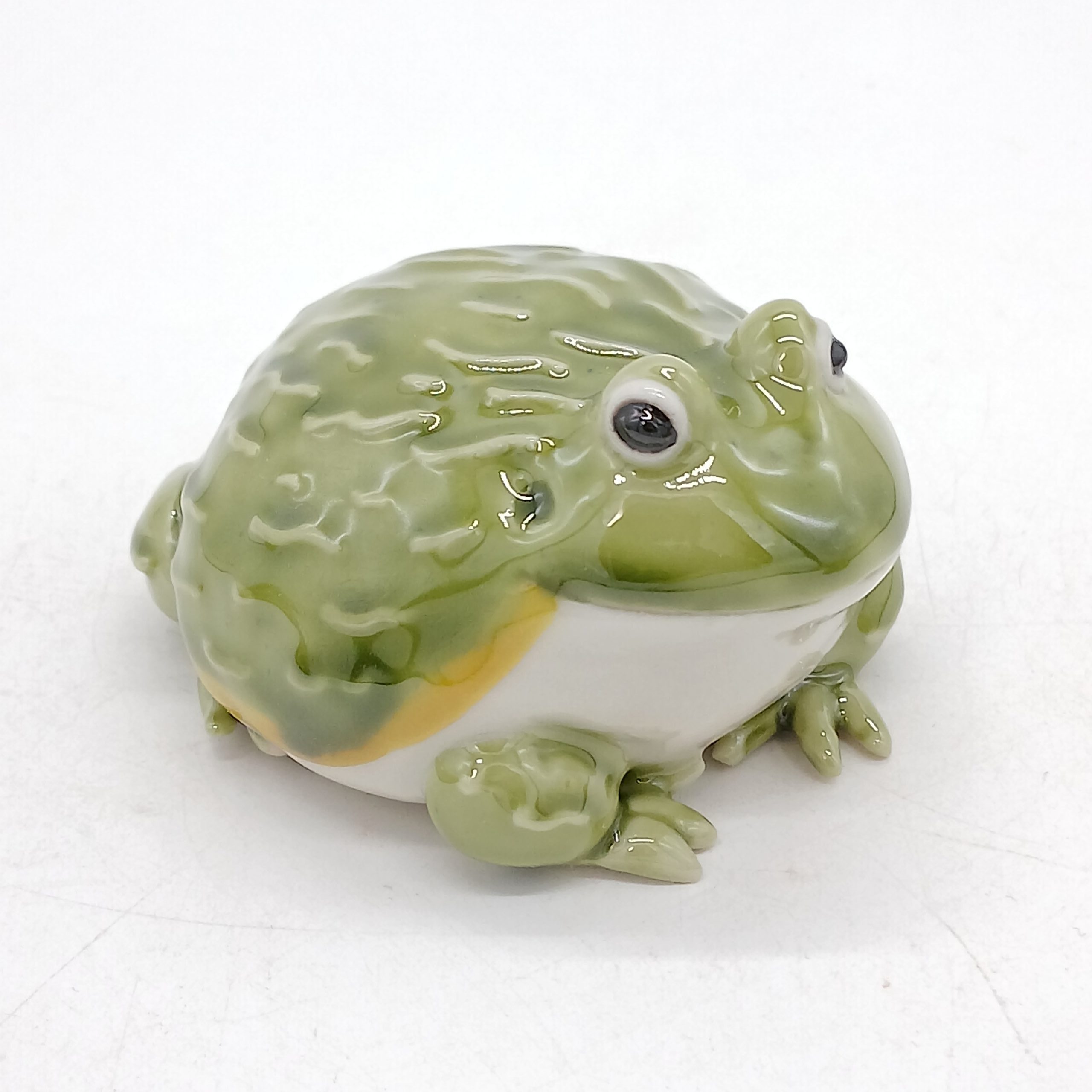 アフリカウシガエル