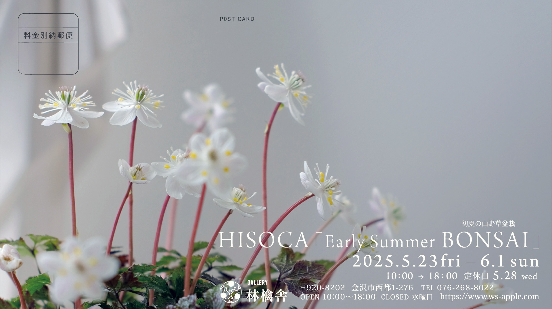 HISOCA「Early Summer BONSAI」 初夏の山野草盆栽　